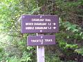 Sugarloaf (4)